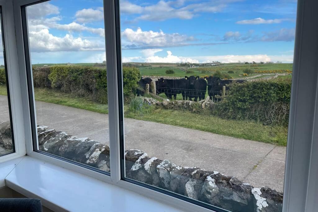 Galloway Farmstay Broughton Newton Stewart Exteriör bild